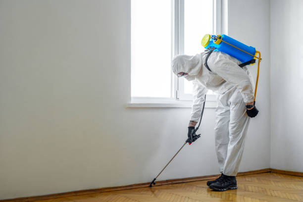 Best Fumigation Services  in Berea, SC